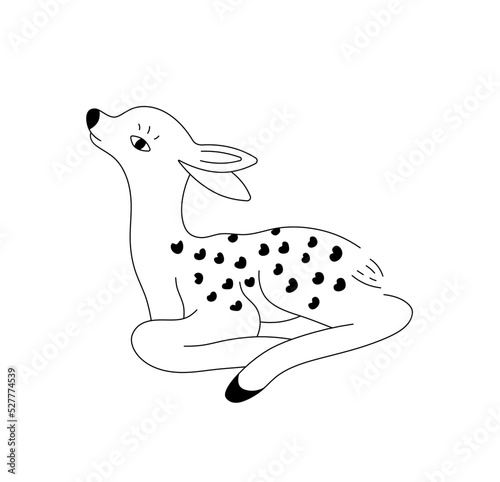 Vector isolated one lying new born forest baby deer colorless black and white contour line drawing