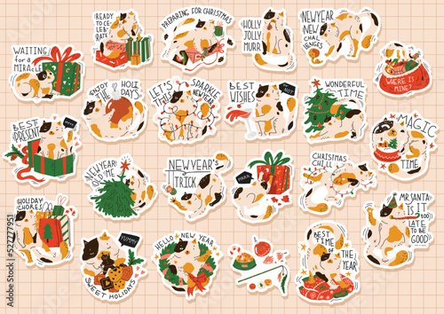 22 stickers with funny Christmas cat. Humorous quotes. Prints with cat preparing to new year. Greeting card for holiday party. Poster, print. Flat style in vector illustration. A4 format.