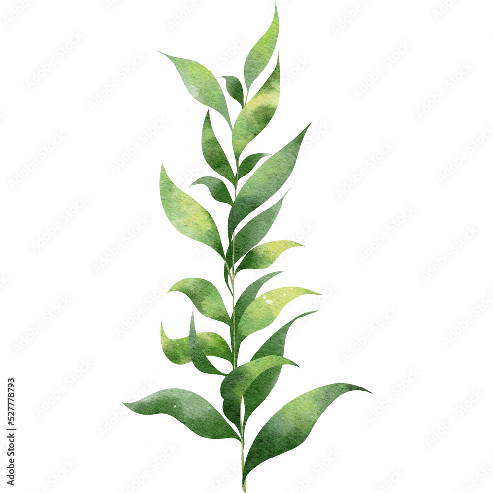 Watercolor green leaves illustration Watercolor green leaves illustration
