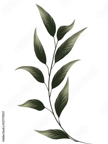 Watercolor of dark green leaf illustration