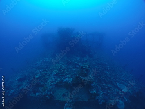 Diving on the "Iro" famous ship wrecks of the Palau archipelago. Diving on the reefs of the Palau. These ship wrecks were from Japanese Navy at WW2. © Optimistic Fish