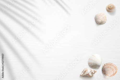 Sticker Summer scene with seashells and a palm shadow