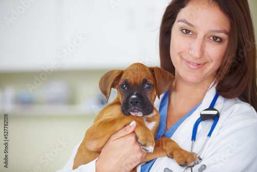 Fototapeta Naklejka Na Ścianę i Meble -  Your puppy is back to perfect health. Portrait of a pretty smiling vet holding a puppy and smiling at the camera.