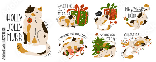 A bunch 7 scenes with funny Christmas cat. Set with domestic animals in holiday. New year stickers with cute adorable kitty. Greeting card for  party. Flat style in vector illustration.