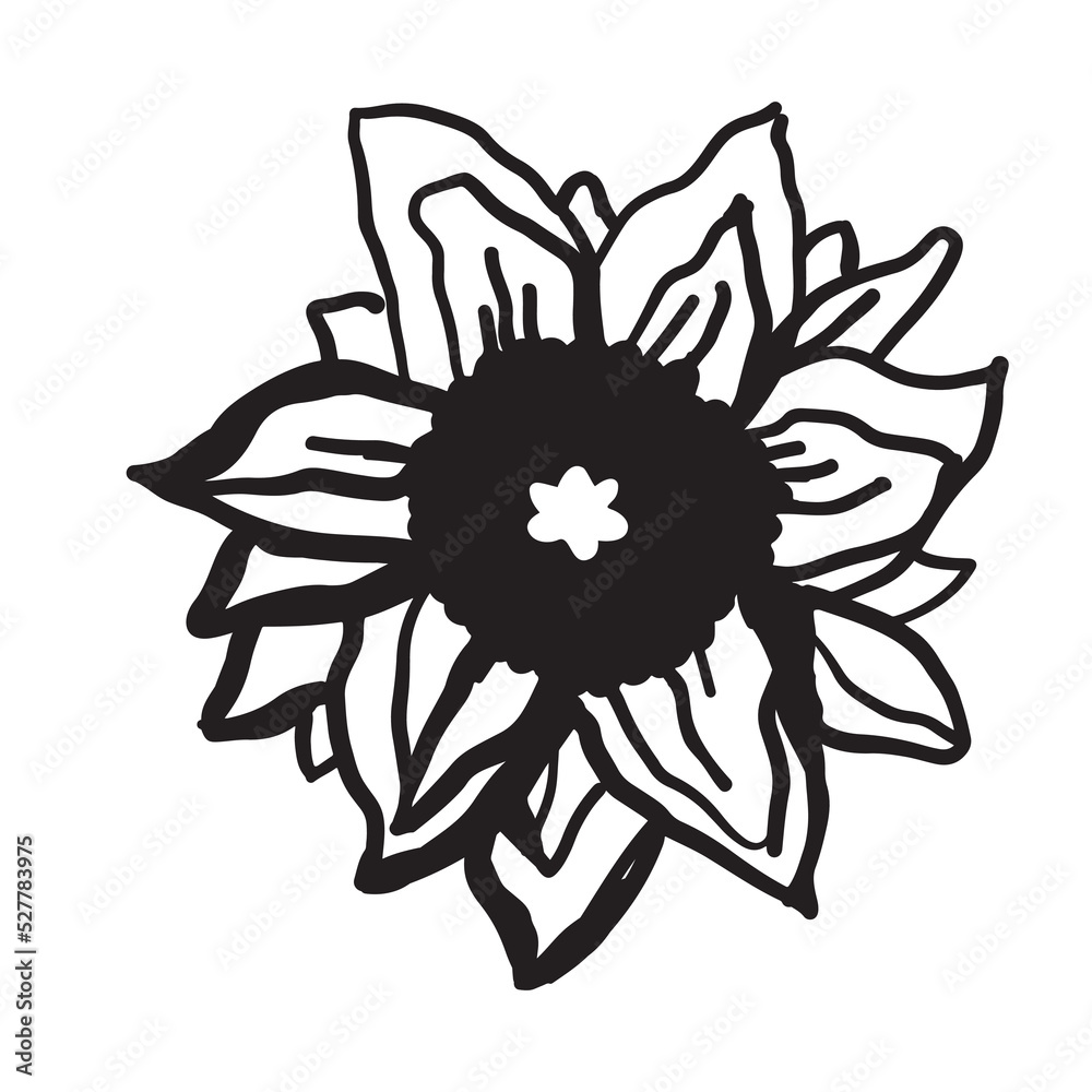 Sunflower hand drawn illustration for your design Sunflower hand drawn illustration for your design