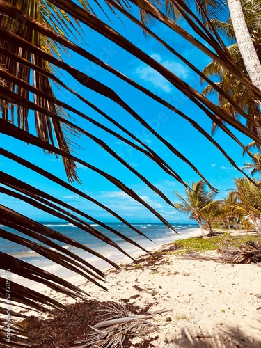 Voyage en Guadeloupe, France, DOM