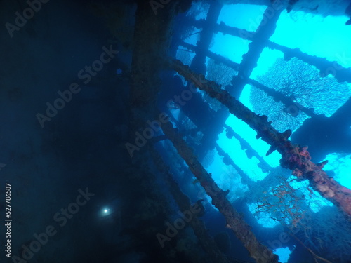 Diving on the ship wrecks of the Palau archipelago. These ship wrecks were from Japanese Navy at WW2. © Optimistic Fish