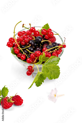 Red and black currants in drops of water, in a transparent plate, isolated on a white background, close-up