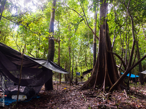 Amazon Jungle