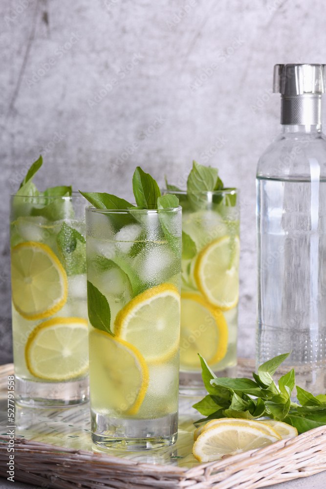 Fototapeta premium Basil Lemon Gin and Tonic, very light, incredibly refreshing cocktail.