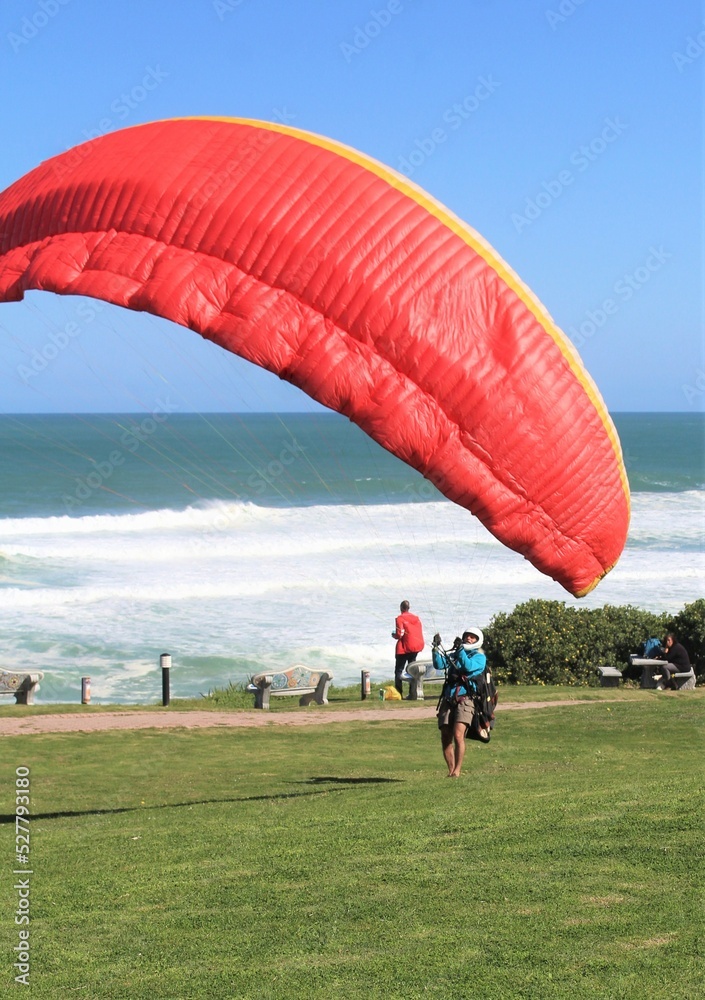 Obraz premium Paraglider landing at a seaside