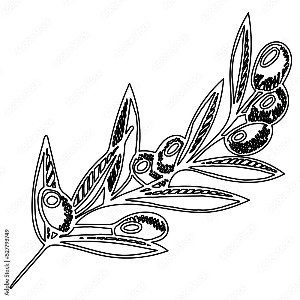 Stylized black and white olive branch, black olives. Olive branch