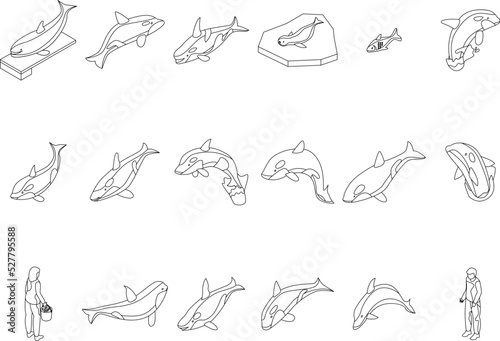 Wallpaper Mural Killer whale icons set. Isometric set of killer whale vector icons outline thin lne isolated on white Torontodigital.ca