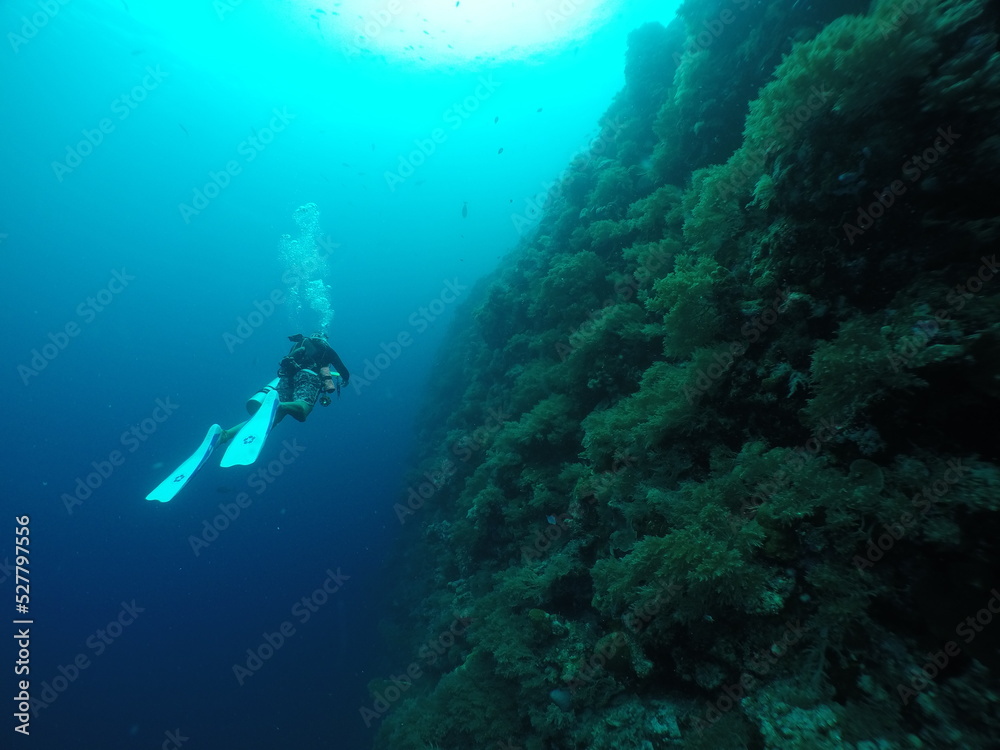 Diving on the reefs of Palau which is a‘bucket list’ diving destination. Some of the must-visit dive sites in Palau are the Blue Corner and the German Channel．