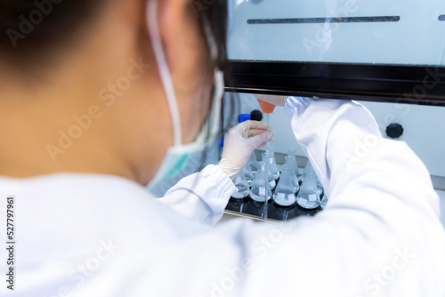 Wallpaper Mural Young scientist or technician work standard curve in fume hood for analysis concentration range of total iron in transparent flasks. Torontodigital.ca
