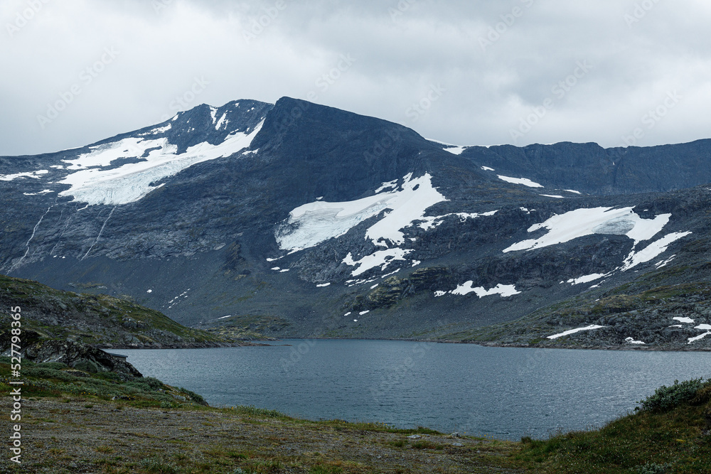 Glaciers Norvégiens sur la route 55