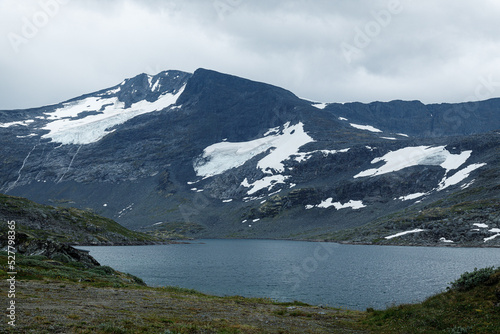 Glaciers Norvégiens sur la route 55
