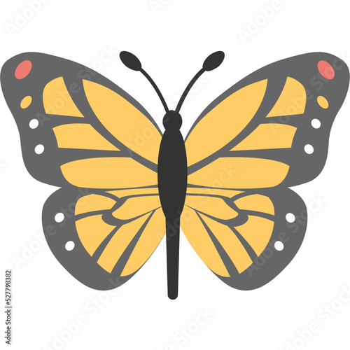 Butterfly Vector Icon