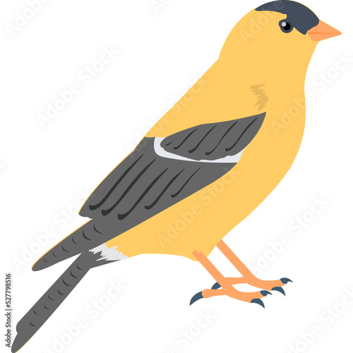 Sparrow Vector Icon