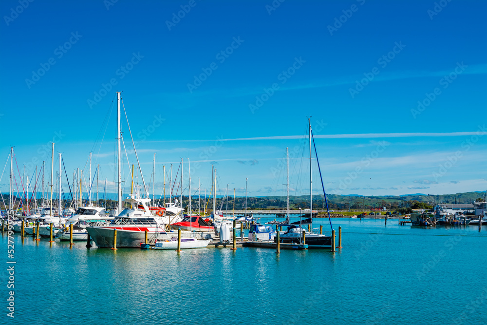 Sailing boats lined up at city marina in Napier, New Zealand. Selective focus