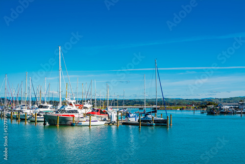 Sailing boats lined up at city marina in Napier  New Zealand. Selective focus