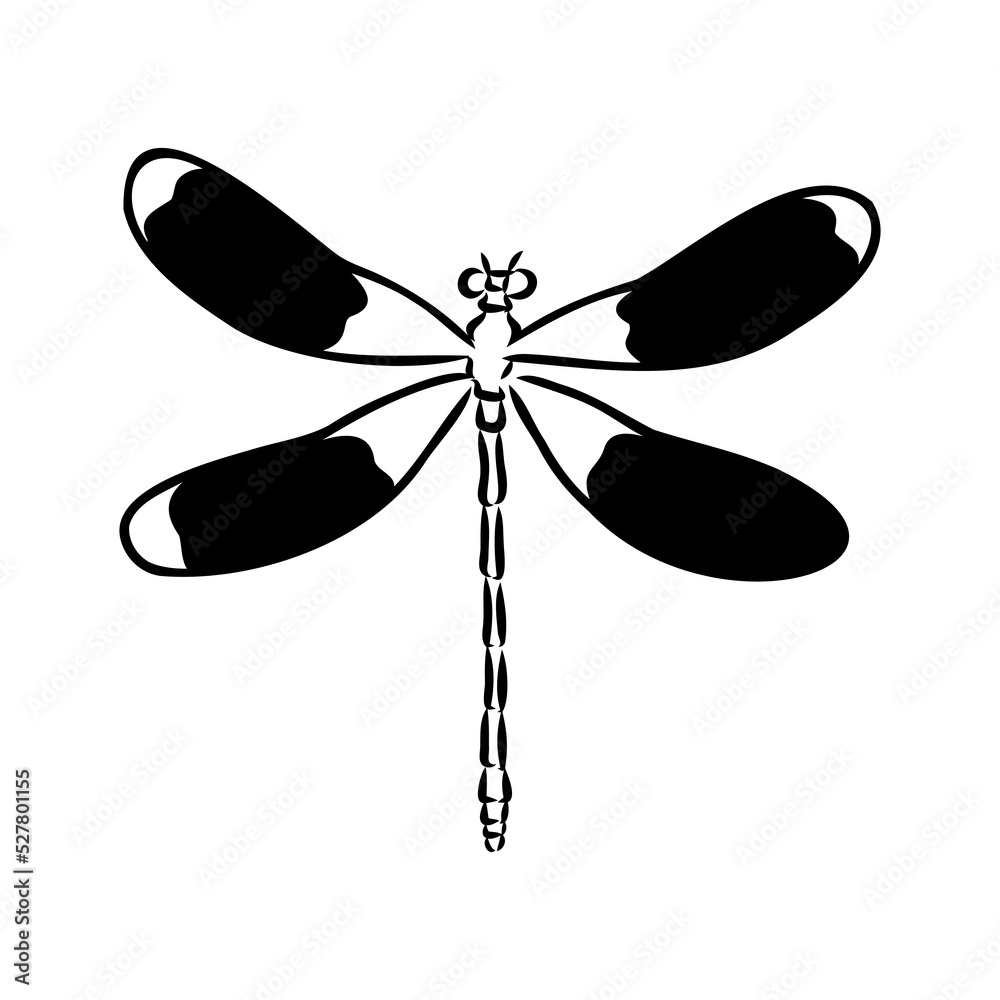 dragonfly black and white sketch with delicate wings vector illustration black and white sketch dragonfly black and white sketch with delicate wings vector illustration black and white sketch