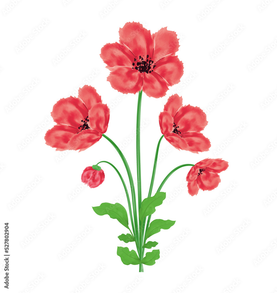 Poppy flowers bouquet Watercolor design element Vector illustration for Remembrance Day, Anzac Day Isolated on white background