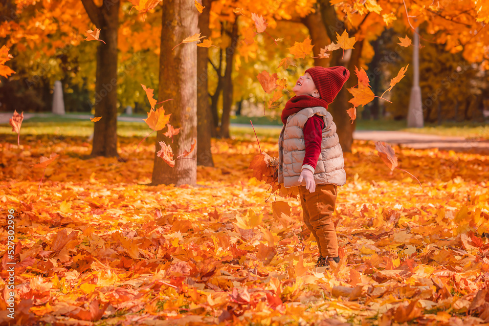 Little child girl playing with maple leaves in the autumn park. Happy child girl having fun in autumn park Little child girl playing with maple leaves in the autumn park. Happy child girl having fun in autumn park