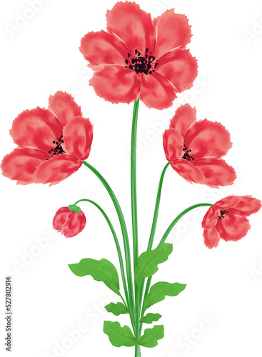 Poppy flowers bouquet Watercolor design element Vector illustration for Remembrance Day  Anzac Day
