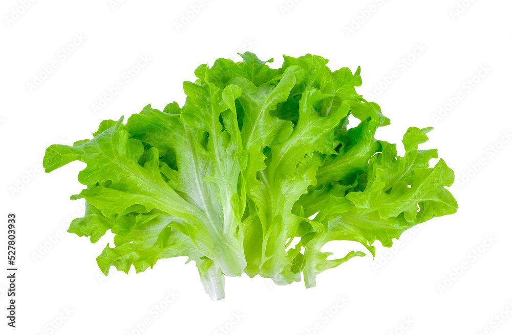 Lettuce isolated on transparent png Lettuce isolated on transparent png