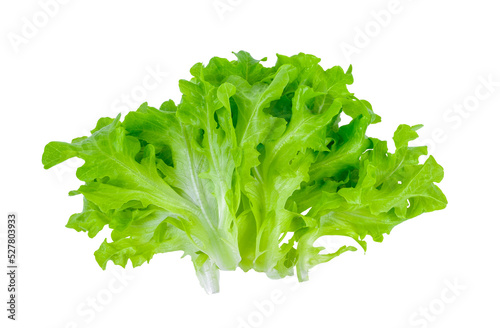Lettuce isolated on transparent png
