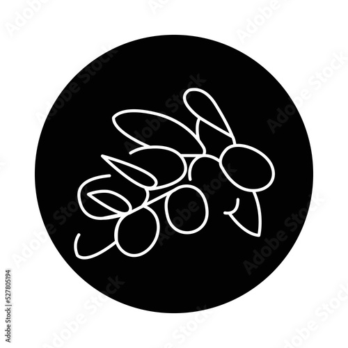 Argan plant plant color line icon. Pictogram for web page