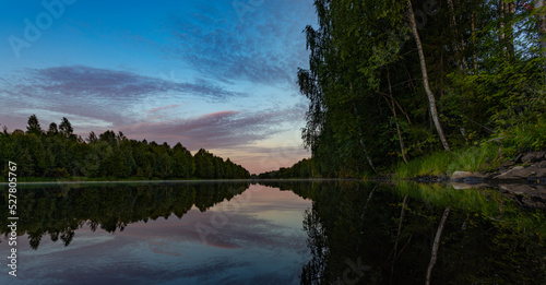 reflection of trees in water