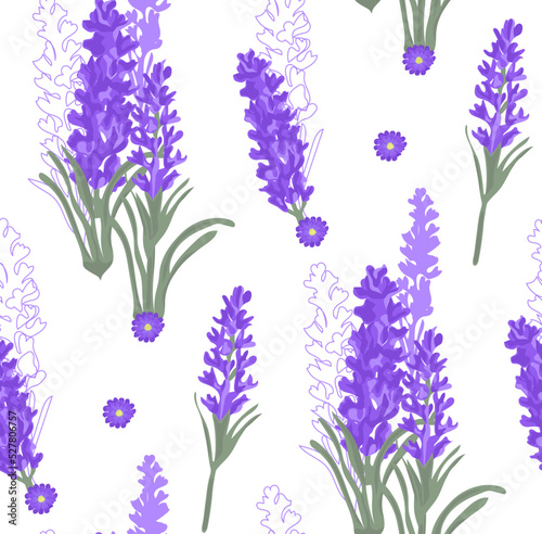 Seamless pattern of purple lavender flowers garden. Cartoon vintage style flowers. Vector illustration.