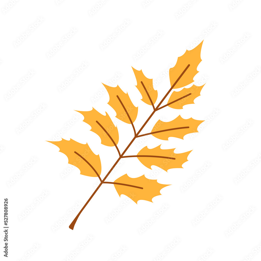 Vector yellow leaf. Cute autumn leaf. Branch with gold leaves. Fall. Vector yellow leaf. Cute autumn leaf. Branch with gold leaves. Fall.