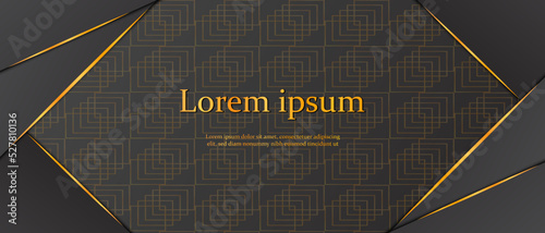 premium luxury background