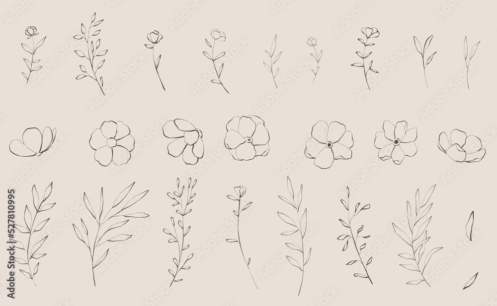 Set of delicate sketches floral and flowers, branch and leaves. Elegant logo template. Vector illustration for labels, branding business identity, wedding invitation
Set of delicate sketches floral and flowers, branch and leaves. Elegant logo template. Vector illustration for labels, branding business identity, wedding invitation