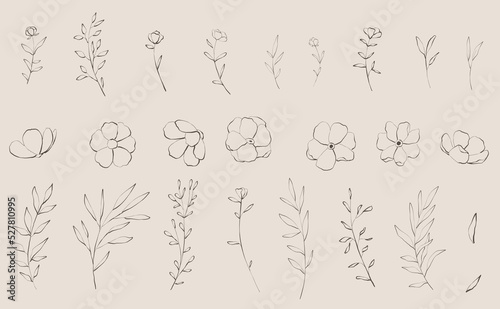 Set of delicate sketches floral and flowers, branch and leaves. Elegant logo template. Vector illustration for labels, branding business identity, wedding invitation	
