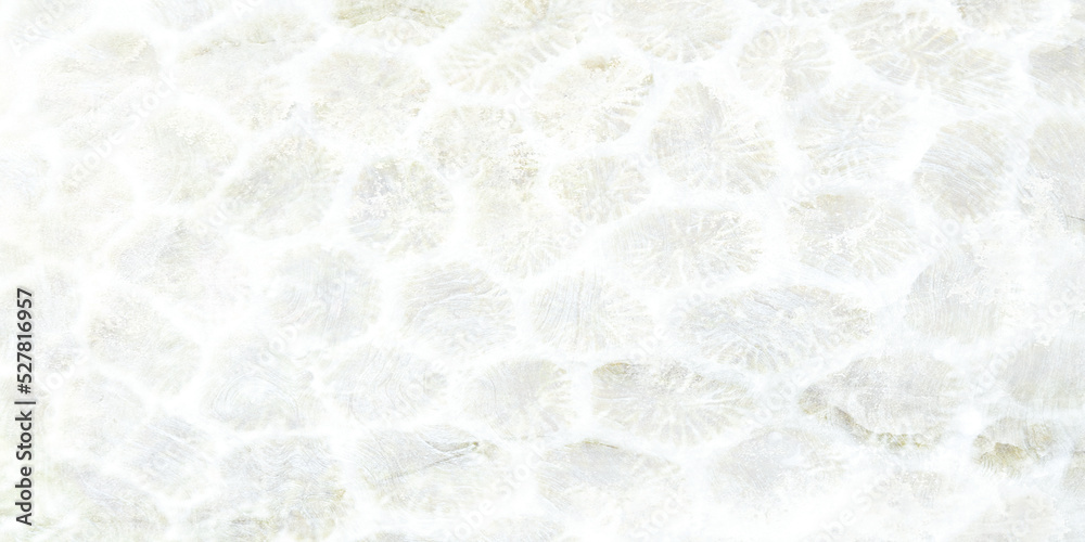 Naklejka premium white paper texture
