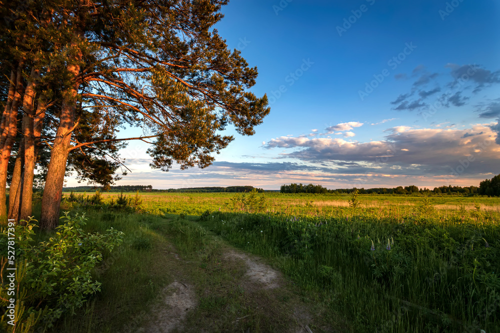 Summer rural landscape with road at evening time. Green field against blue sky with clouds .