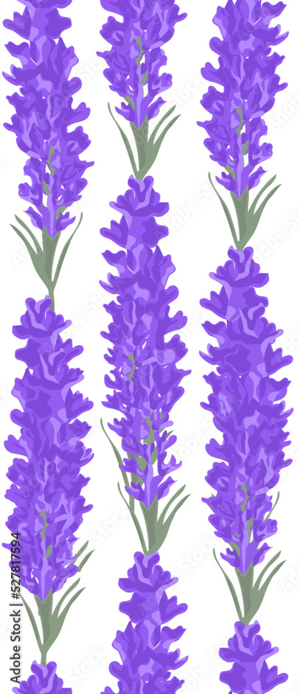 Fototapeta premium Lavender floral purple and white seamless pattern. Beautiful vintage flowers textile. Vector illustration.