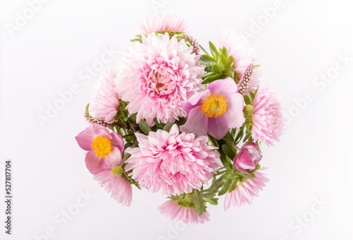 Fototapeta Graceful autumn bouquet of pink aster flowers, anemones on white background