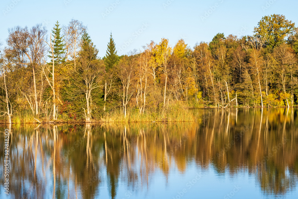 Tranquility by a lake with autumn colors
