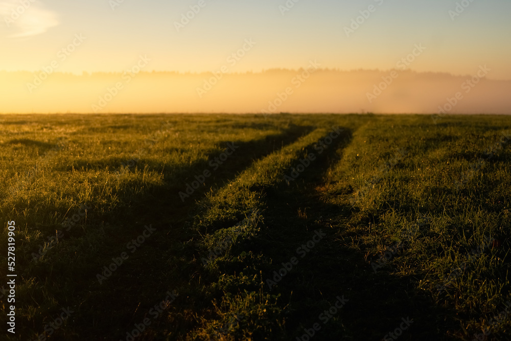 Dirt Road in a field on a foggy spring morning. Rural landscape at sunrise. Dawn. Nature