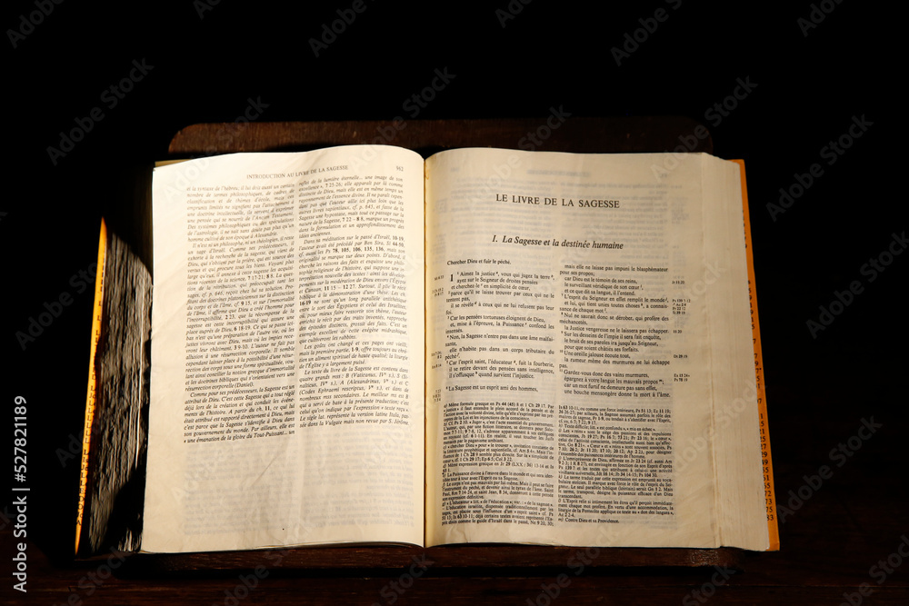 Saint Pierre & Saint Paul de Troyes cathedral. Bible... Saint Pierre & Saint Paul de Troyes cathedral. Bible...