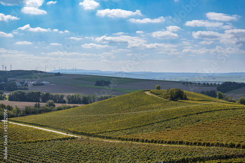 View over the vineyards near Rommersheim/Germany in Rheinhessen on a sunny day in early autumn