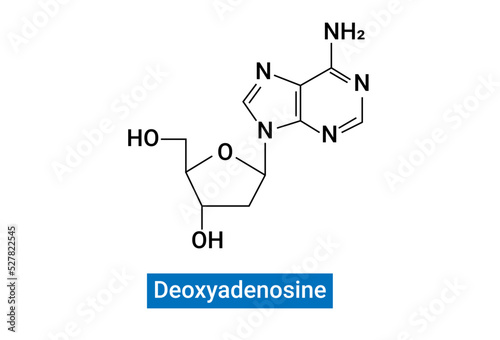 Deoxyadenosine (symbol dA or dAdo) is a deoxyribonucleoside.
