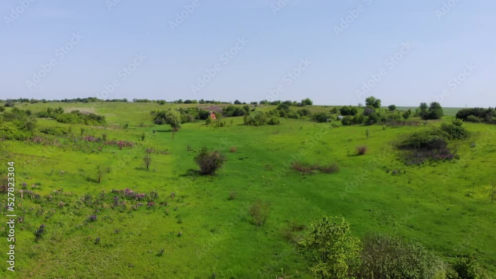 Aerial view. Blooming green meadow. The camera pans over grass and colorful flowers. Ukraine Aerial view. Blooming green meadow. The camera pans over grass and colorful flowers. Ukraine