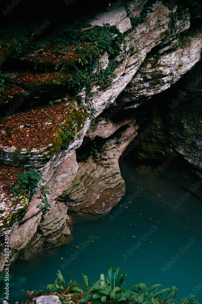 Gorge Gorge