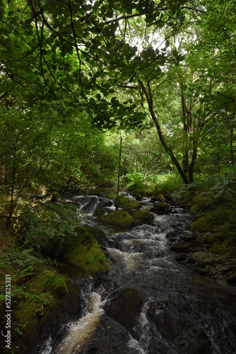 the waterfall at hafod estate
